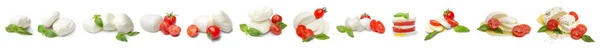Queso Mozzarella Con Tomate Albahaca Sobre Fondo Blanco — Foto de Stock