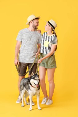 Renkli şirin köpekli genç bir çift.