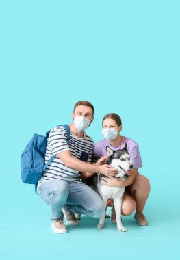 Tıbbi maskeli ve renkli sevimli Husky köpeği olan genç bir çift. Salgın kavramı