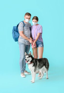 Tıbbi maskeli ve renkli sevimli Husky köpeği olan genç bir çift. Salgın kavramı