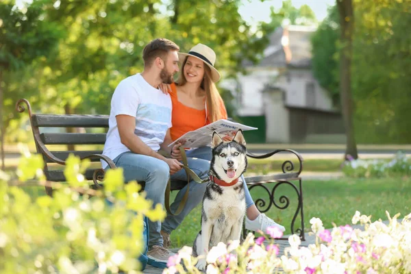 Pareja Joven Con Lindo Husky Perro Parque — Foto de Stock