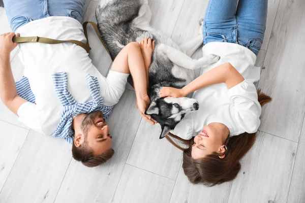 Young Couple Cute Husky Dog Home Top View — Stock Photo, Image