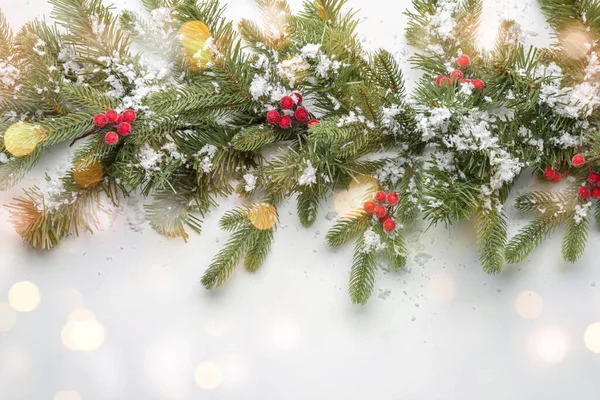白い背景に雪と果実を持つ美しいクリスマスツリーの枝 — ストック写真