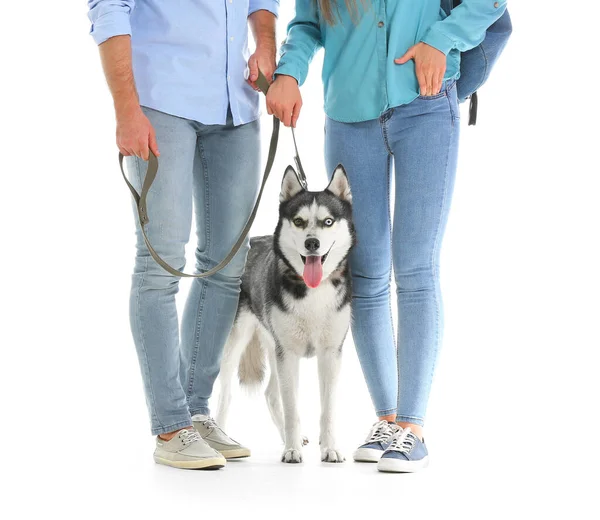 Beyaz Arka Planda Sevimli Husky Köpeği Olan Genç Bir Çift — Stok fotoğraf