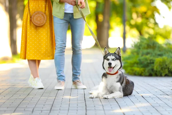 Coppia Giovane Con Cane Carino Husky Nel Parco — Foto Stock