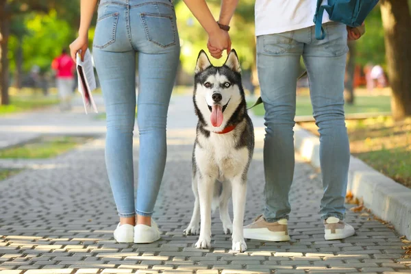 若いですカップルとともに可愛いですハスキー犬で公園 — ストック写真