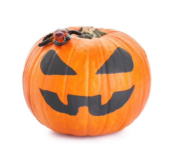 Halloween Pumpkin White Background — Stock Photo, Image