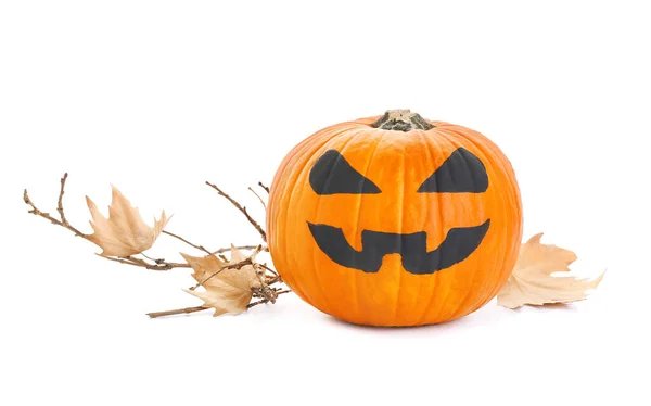 Halloween Pumpkin White Background — Stock Photo, Image