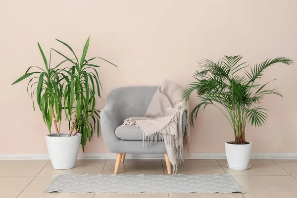 房间里靠近轻墙的带家居植物的时髦扶手椅 — 图库照片