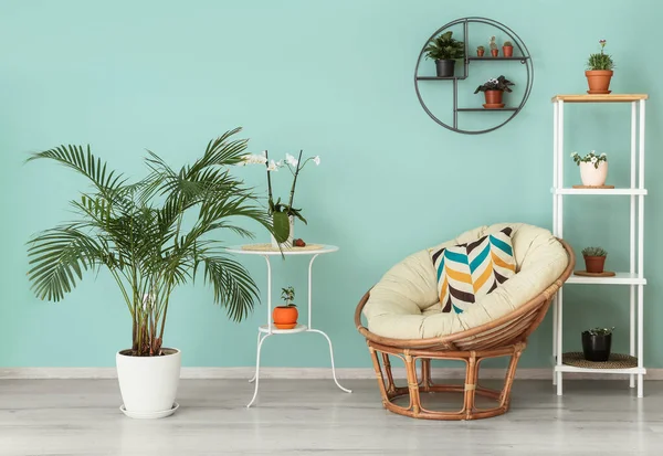 Interior Elegante Quarto Com Plantas Sala Verdes Poltrona — Fotografia de Stock