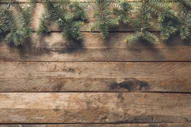 Ahşap arka planda güzel Noel ağacı dalları