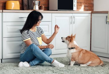 Mutfakta tatlı Corgi köpeği olan bir kadın var.
