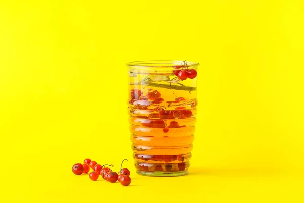 加红醋栗色背景的新鲜莫吉托鸡尾酒杯 — 图库照片