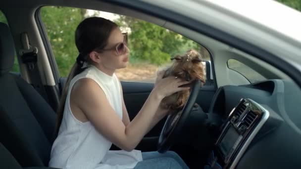 Beautiful Woman Cute Dog Sitting Modern Car — Stock Video