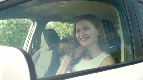 Hermosa Mujer Con Lindo Perro Sentado Coche Moderno — Vídeos de Stock