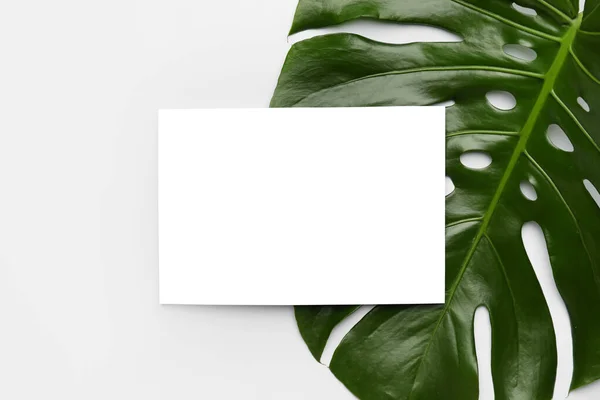 Blank Card Tropical Leaf White Background — Stock Photo, Image
