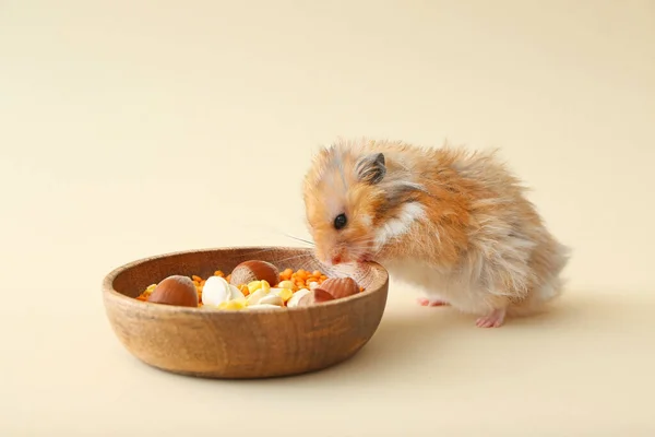 Funny Hamster Eating Food Plate Light Background — Stock Photo, Image