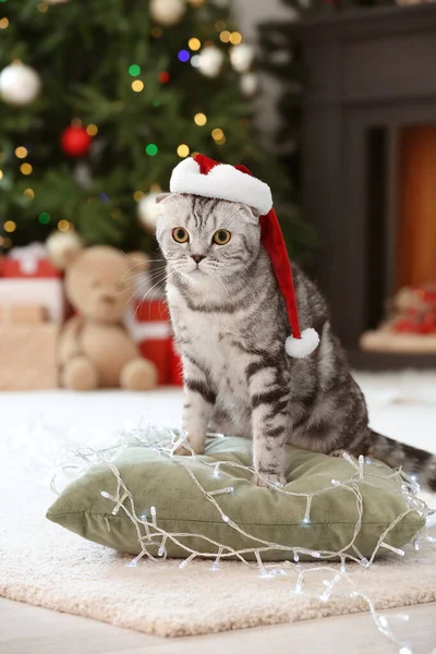 Roztomilý Legrační Kočka Santa Klobouk Doma Štědrý Večer — Stock fotografie