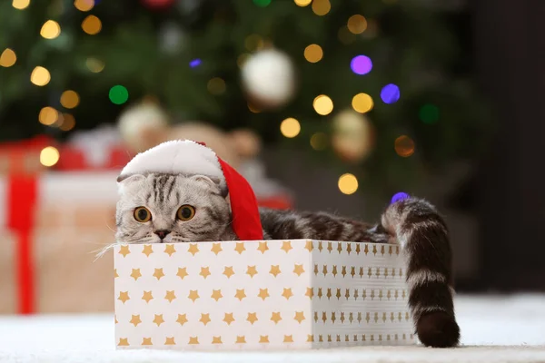 Cute Zabawny Kot Kapeluszem Santa Polu Domu Wigilię Bożego Narodzenia — Zdjęcie stockowe