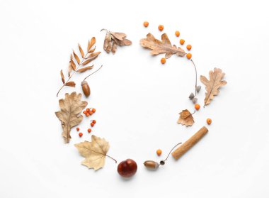 Beyaz arkaplanda güzel sonbahar kompozisyonu