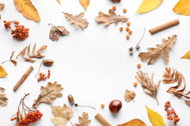 Beyaz arkaplanda güzel sonbahar kompozisyonu