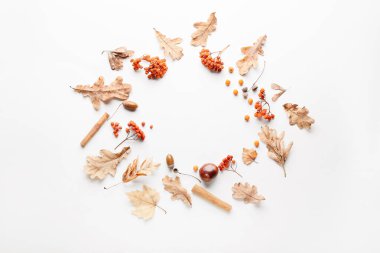 Beyaz arkaplanda güzel sonbahar kompozisyonu