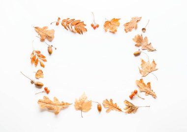 Beyaz arkaplanda güzel sonbahar kompozisyonu