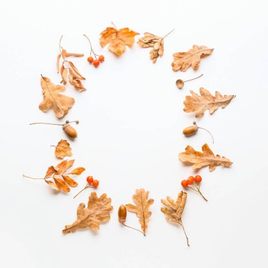 Beyaz arkaplanda güzel sonbahar kompozisyonu