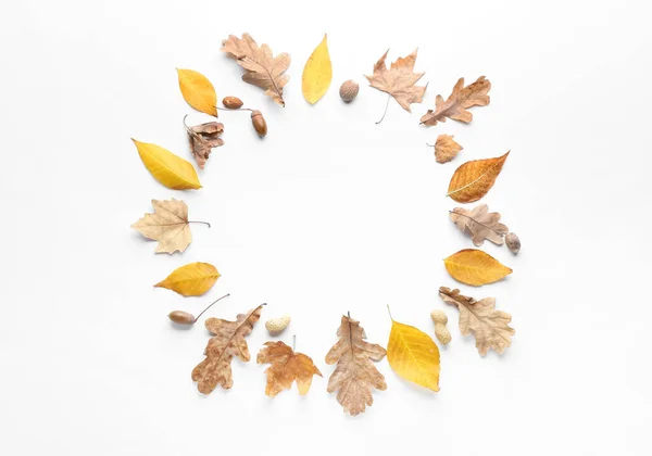 Beautiful Autumn Composition White Background — Stock Photo, Image