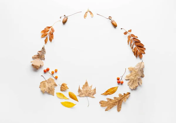 白い背景に美しい秋の構図 — ストック写真