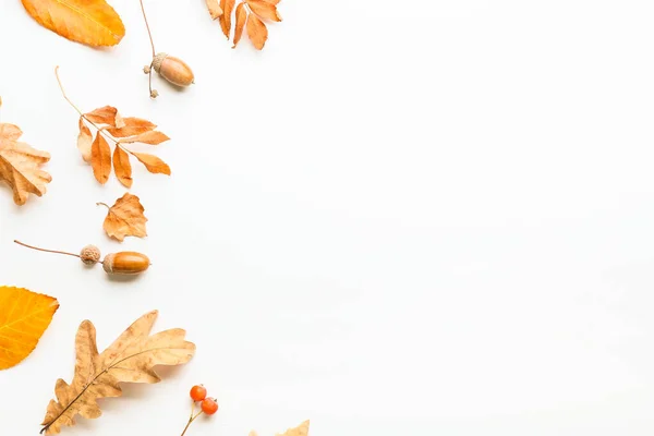 Beautiful Autumn Composition White Background — Stock Photo, Image