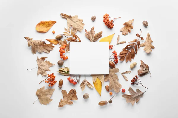 Beyaz Zemin Üzerinde Boş Kart Ile Güzel Sonbahar Kompozisyonu — Stok fotoğraf