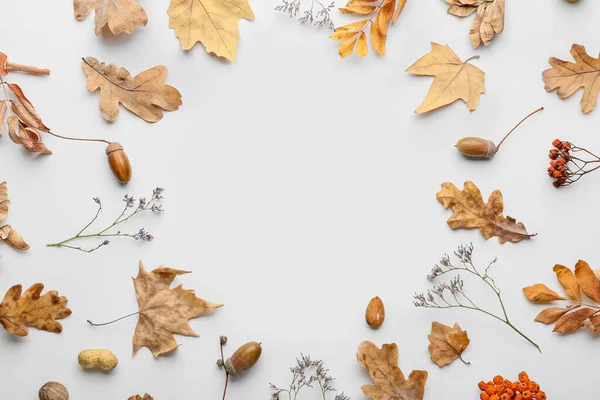 Beautiful Autumn Composition White Background — Stock Photo, Image