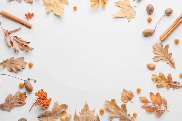 Beautiful Autumn Composition White Background — Stock Photo, Image