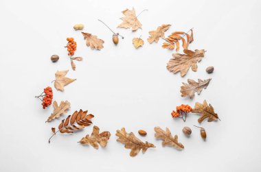 Beyaz arkaplanda güzel sonbahar kompozisyonu