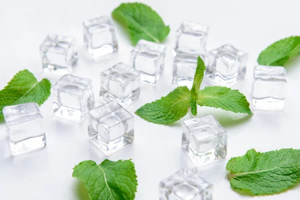 Ice Cubes Mint Light Background — Stock Photo, Image