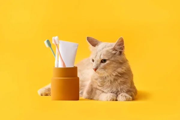 Cute Cat Tooth Brushes Paste Color Background — Stock Photo, Image