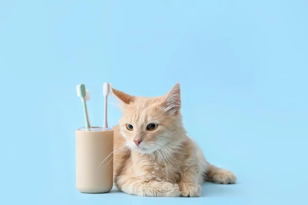 Cute Cat Tooth Brushes Color Background — Stock Photo, Image