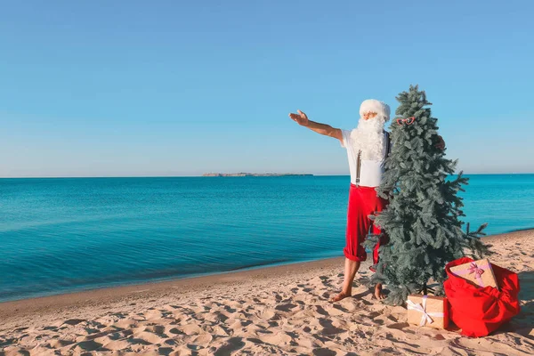 Santa Claus with Christmas tree resting at sea resort