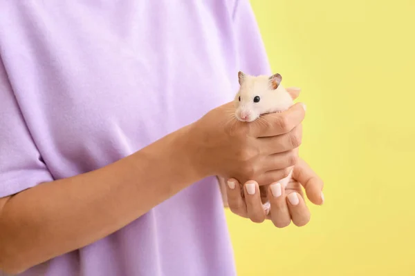 Kvinna Med Söt Rolig Hamster Färg Bakgrund Närbild — Stockfoto