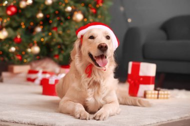 Noel arifesinde evde Noel Baba şapkalı sevimli bir köpek.