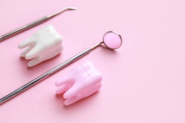 Dental tools and tooth models on pink background, closeup. World Dentist Day