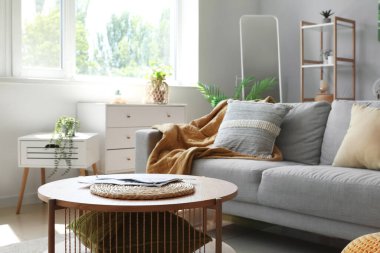 Gri kanepesi, çiçekleri ve aynası olan aydınlık oturma odasının içinde.