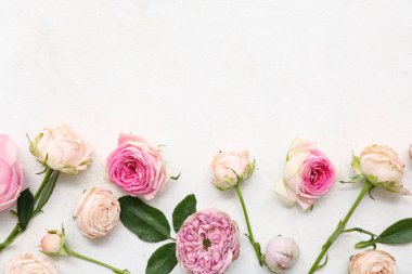 Güzel pembe güller ve beyaz arka planda yapraklar