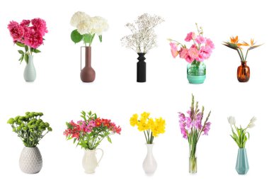 Beyaz arka planda farklı güzel çiçekli vazolar.