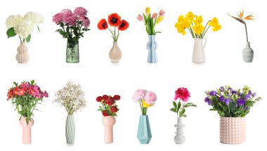 Beyaz arka planda farklı güzel çiçekleri olan bir sürü vazo.