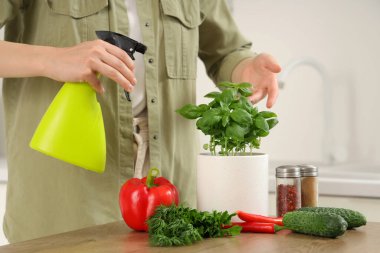 Mutfakta fesleğen püskürten kadın.