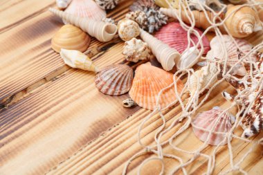 Birçok farklı deniz kabuğu ve ahşap zemin üzerinde ağ