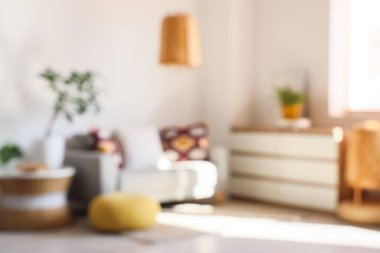 Sofa, chest of drawers, lamp, coffee table with decorative tree and pouf in interior of living room. Blurred view