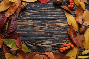 Düşen güzel yapraklardan, meşe palamudlarından ve koyu ahşap arka planda kızılcık üzümlerinden yapılmış çerçeve. Yakın plan.